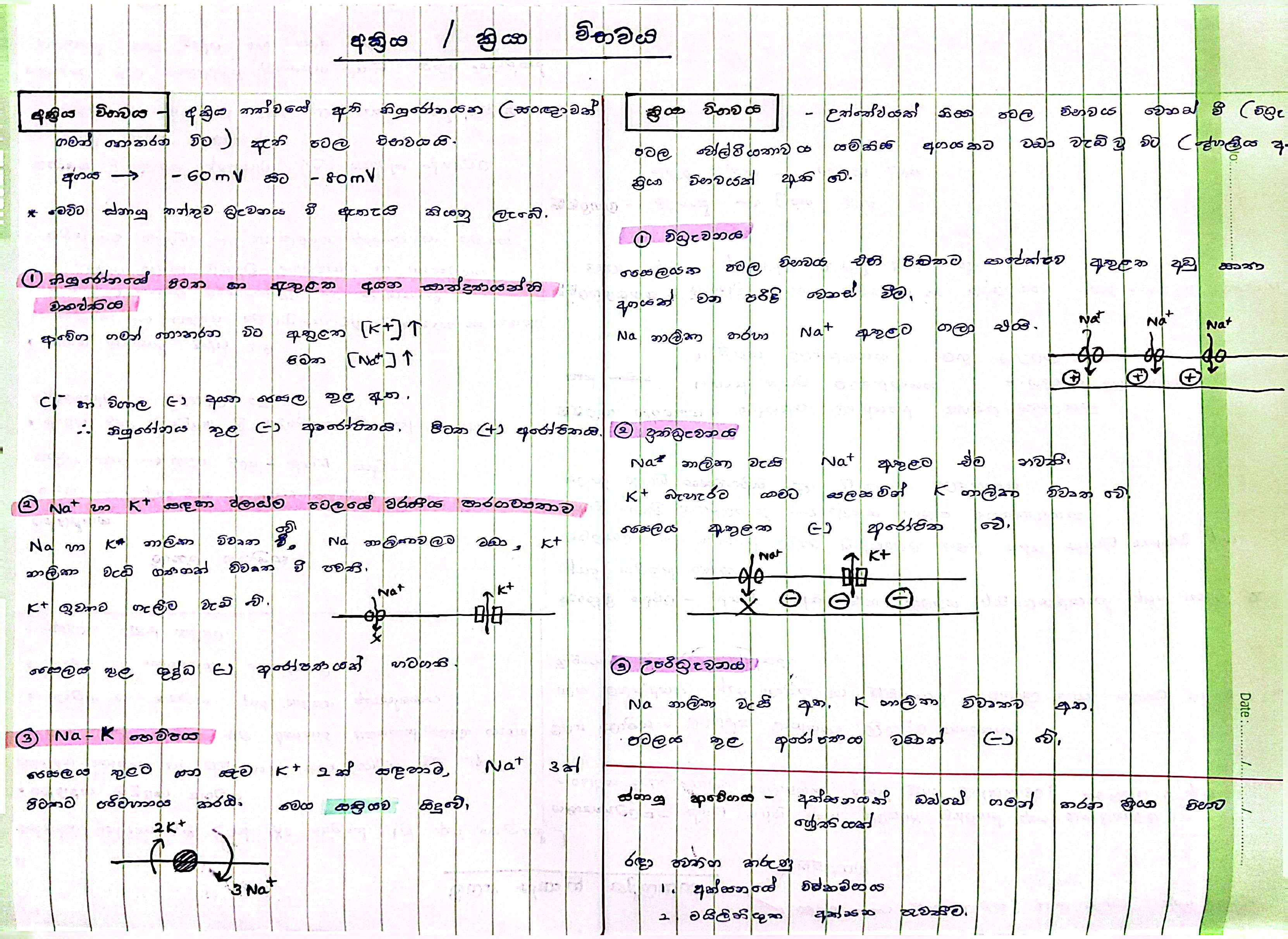 අක්‍රිය හා ක්‍රියා විභවය | SHORT NOTE