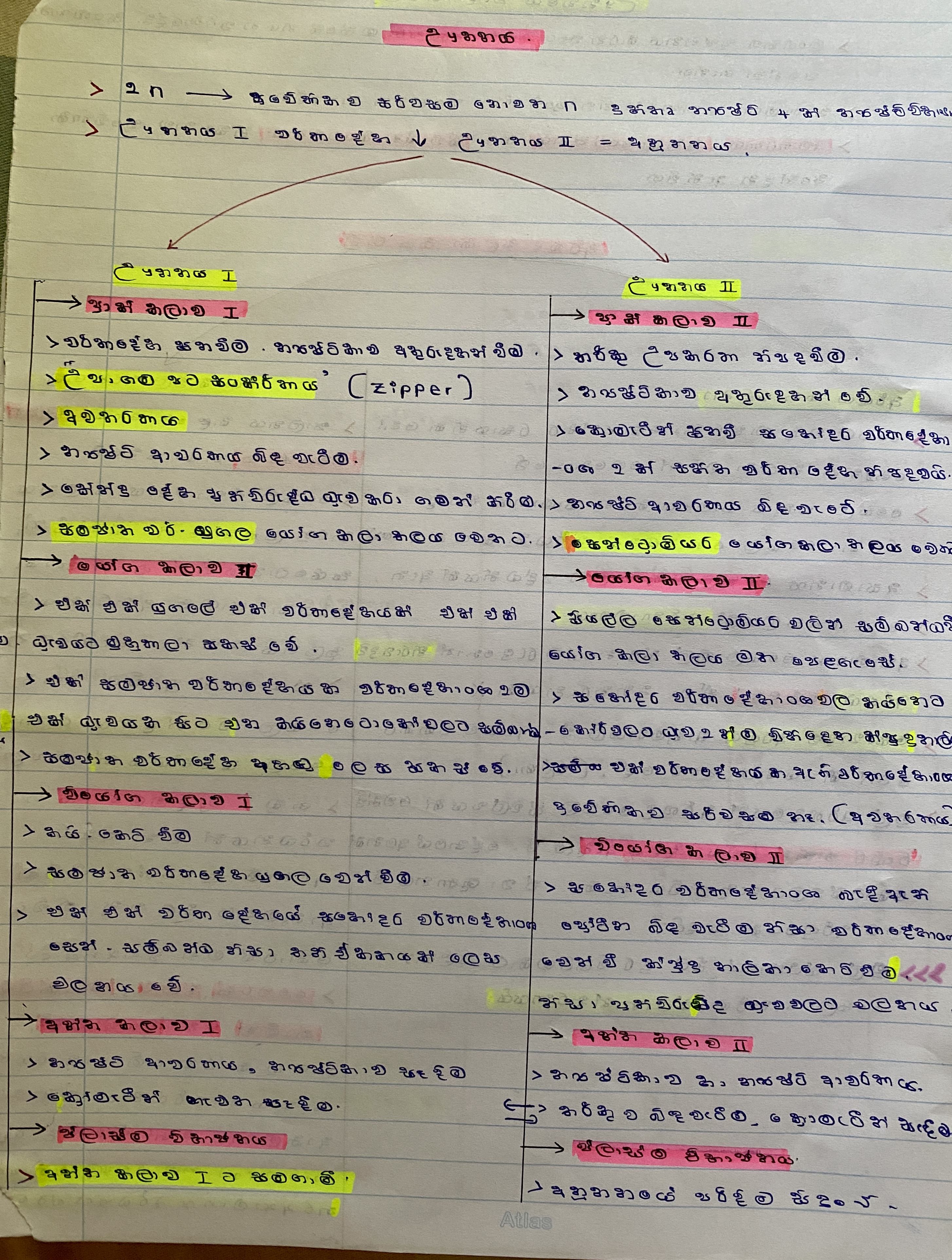 Cell Cycle | SHORT NOTE