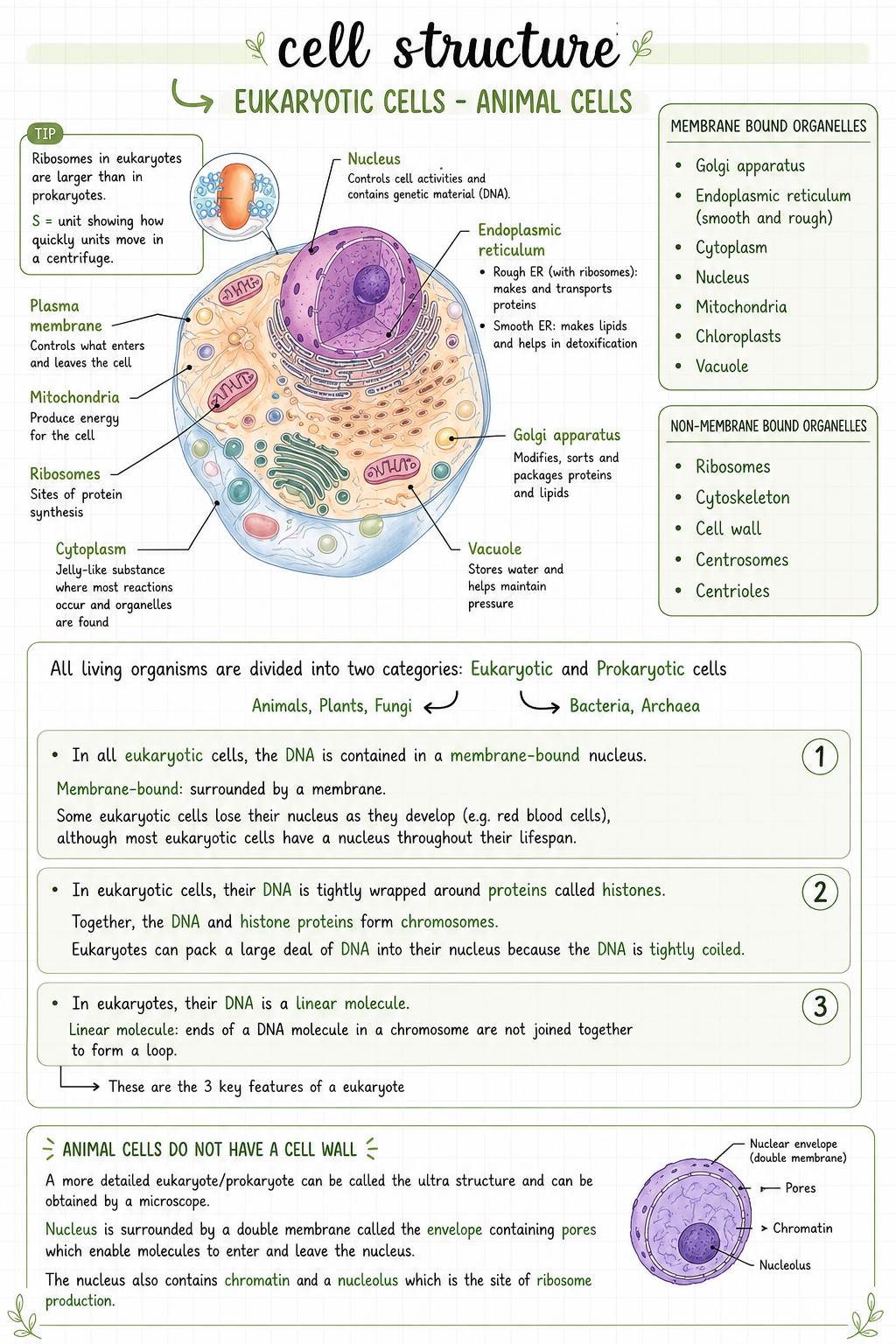 Chemical & cellular basis of life | SHORT NOTE