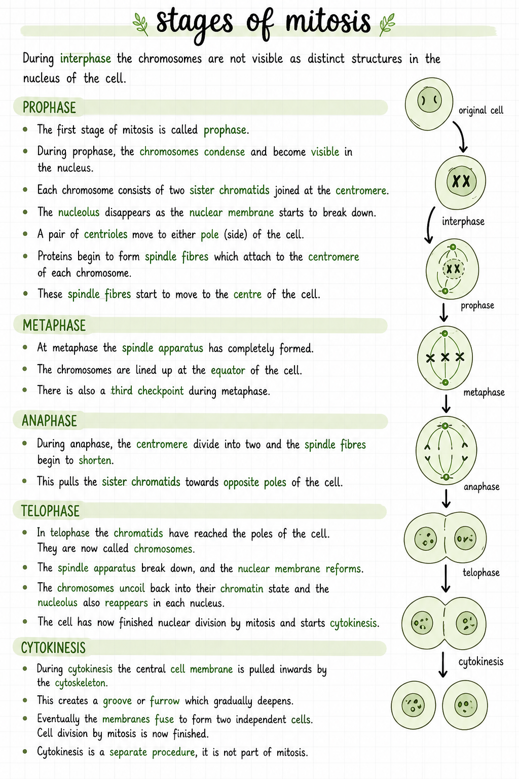 Chemical & cellular basis of life | SHORT NOTE