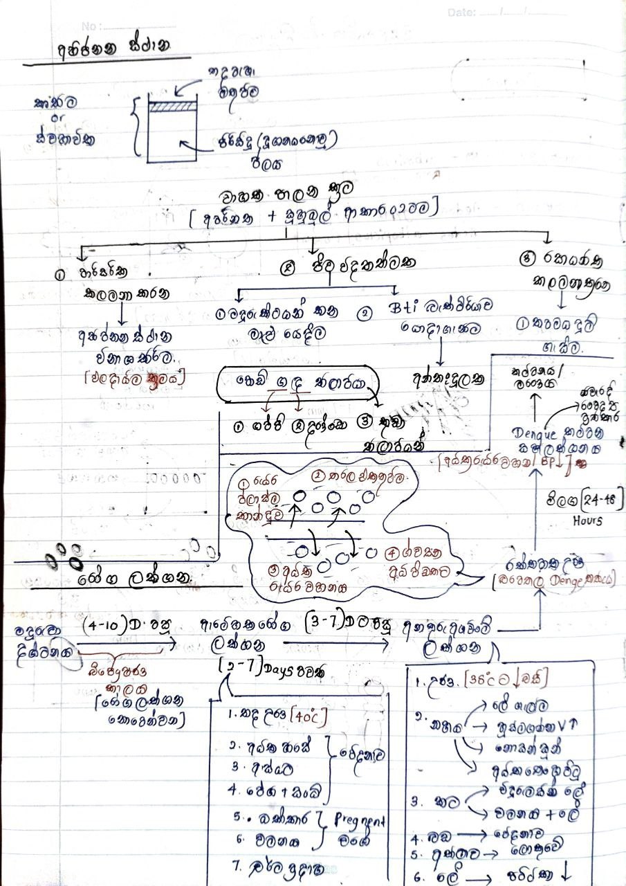 ඩෙංගු රෝගය | SHORT NOTE