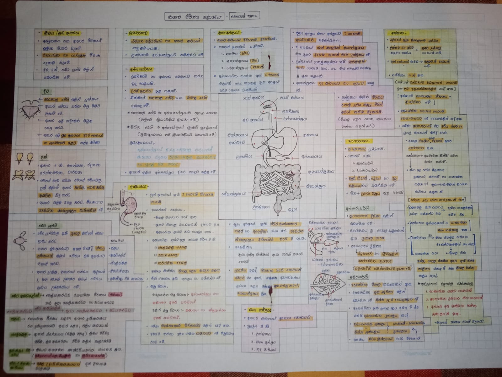 Digestive System | SHORT NOTE
