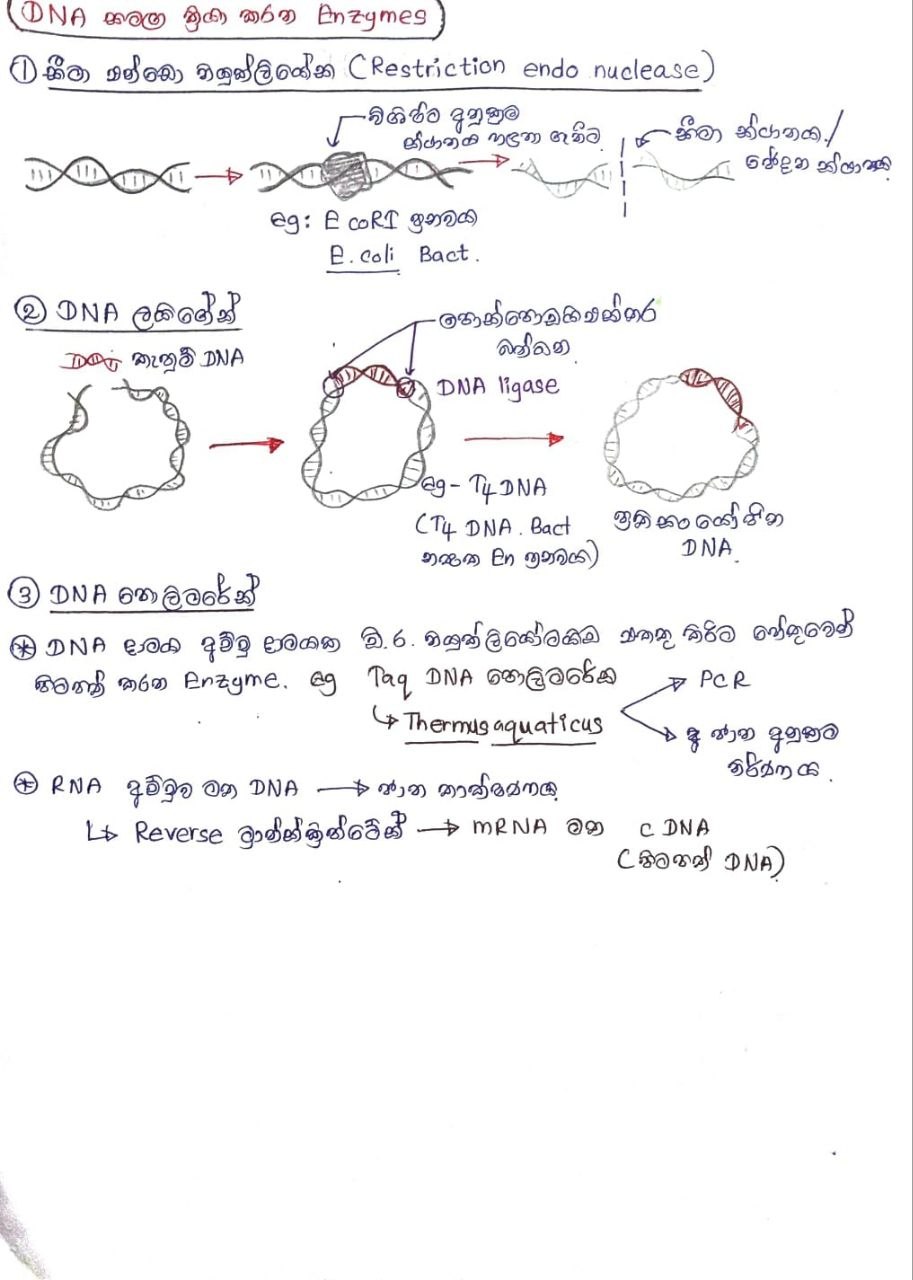 DNA විසංගමනය | SHORT NOTE