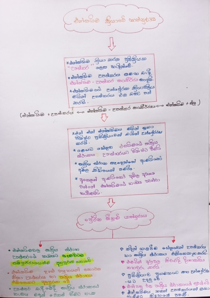 Enzymes | SHORT NOTE