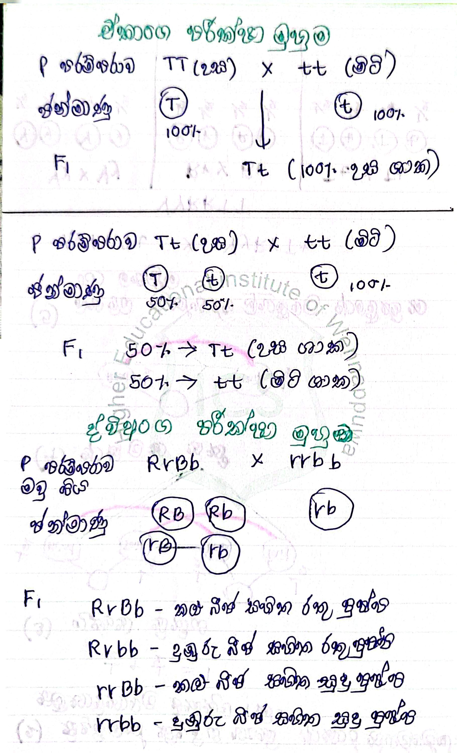 Genetics | SHORT NOTE