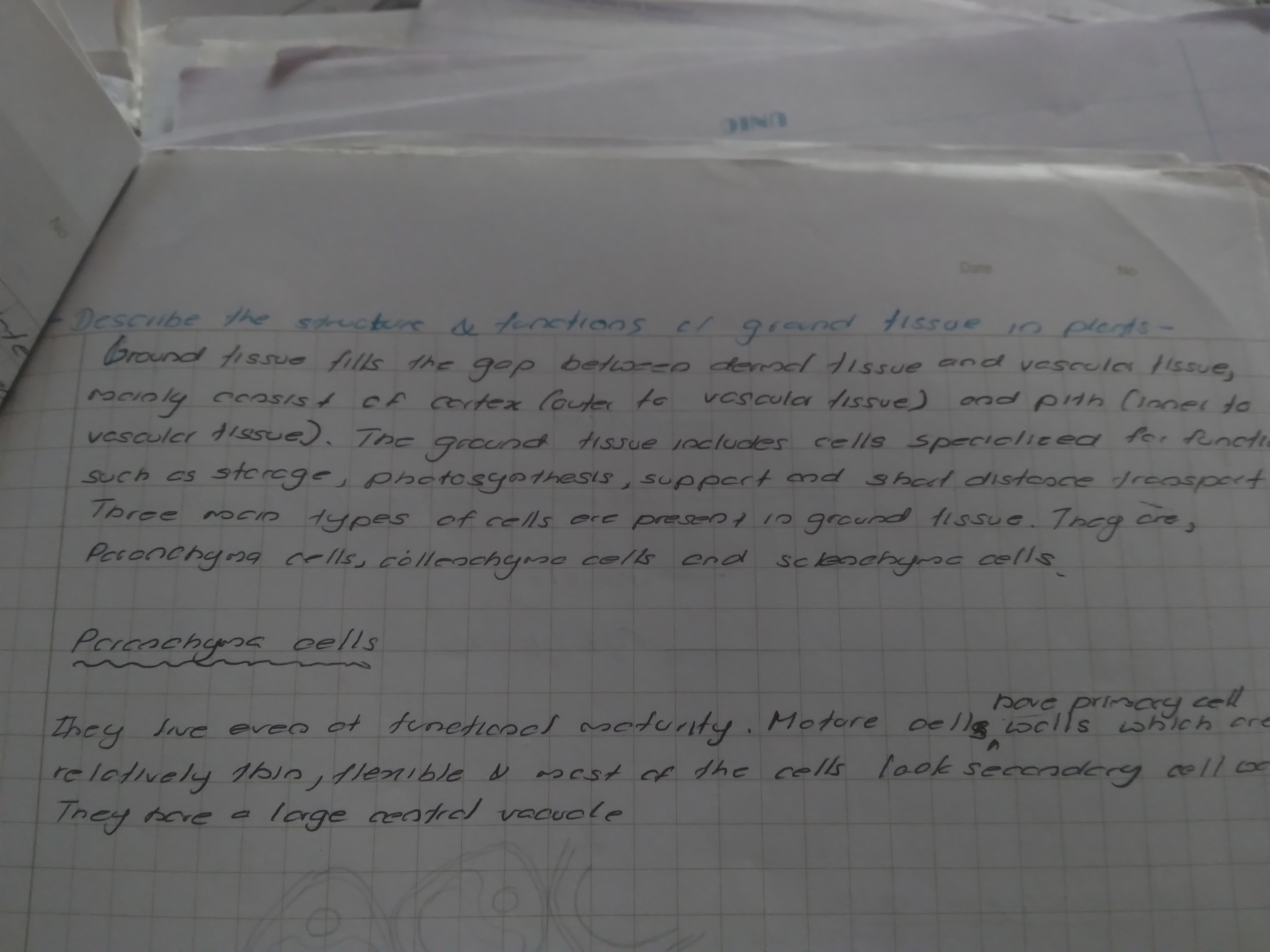 Ground Tissue in Plants | FULL SHORT NOTE