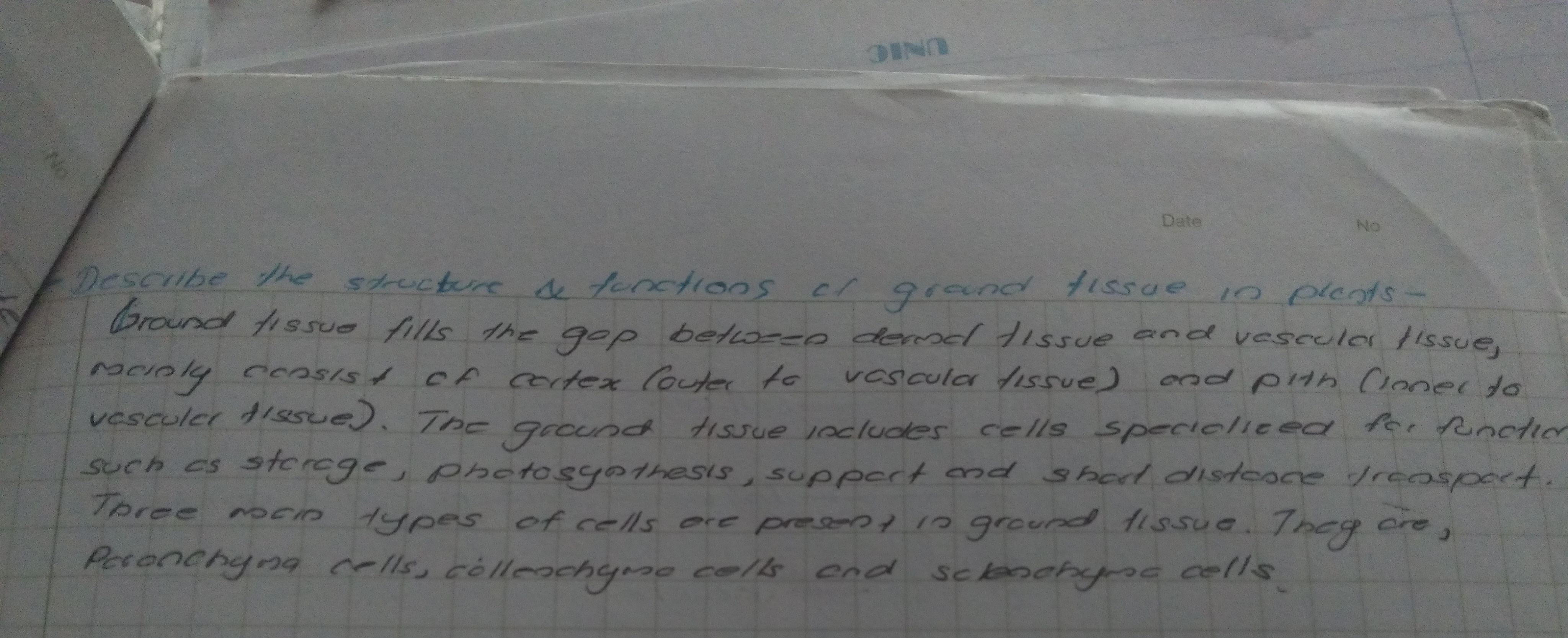 Ground Tissue in Plants | FULL SHORT NOTE