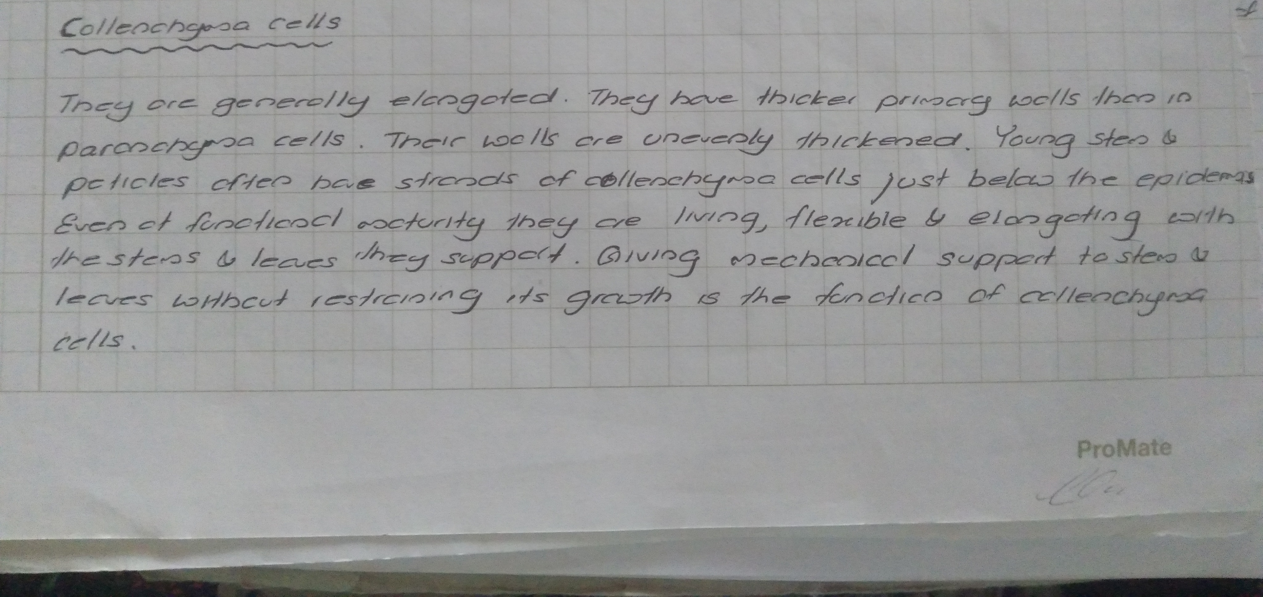 Ground Tissue in Plants | FULL SHORT NOTE