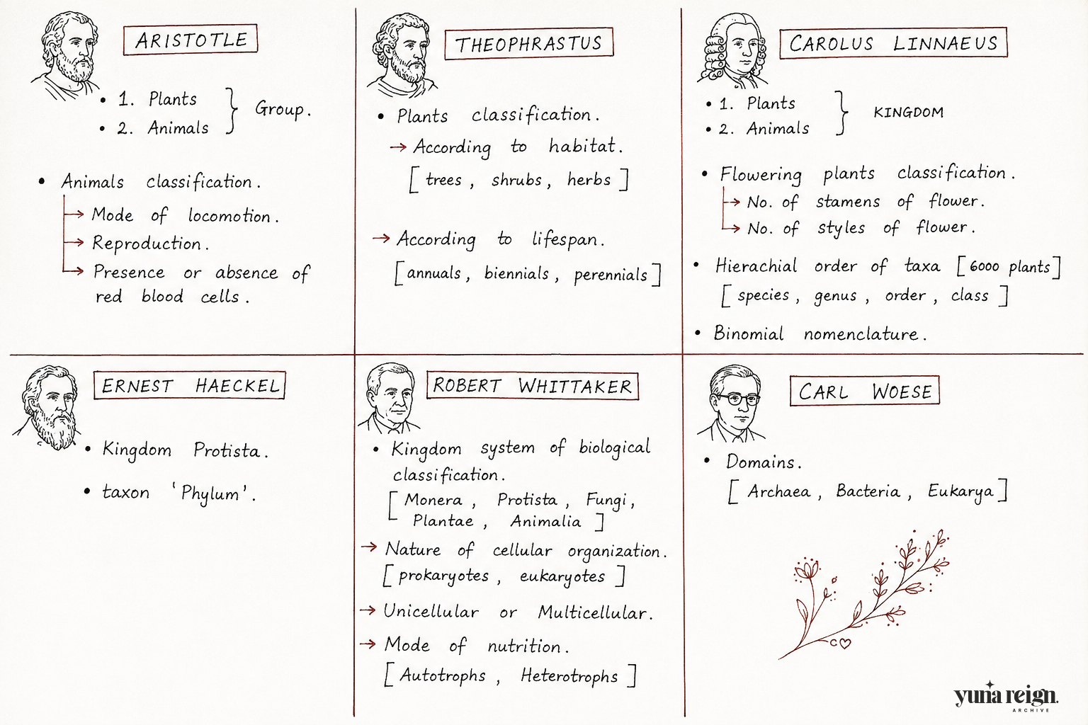 History of Classification | SHORT NOTE