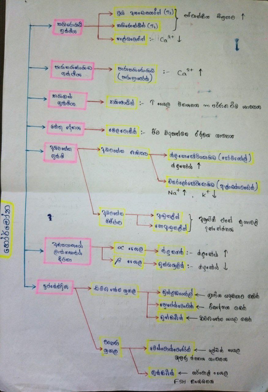 හෝමෝන | SHORT NOTE