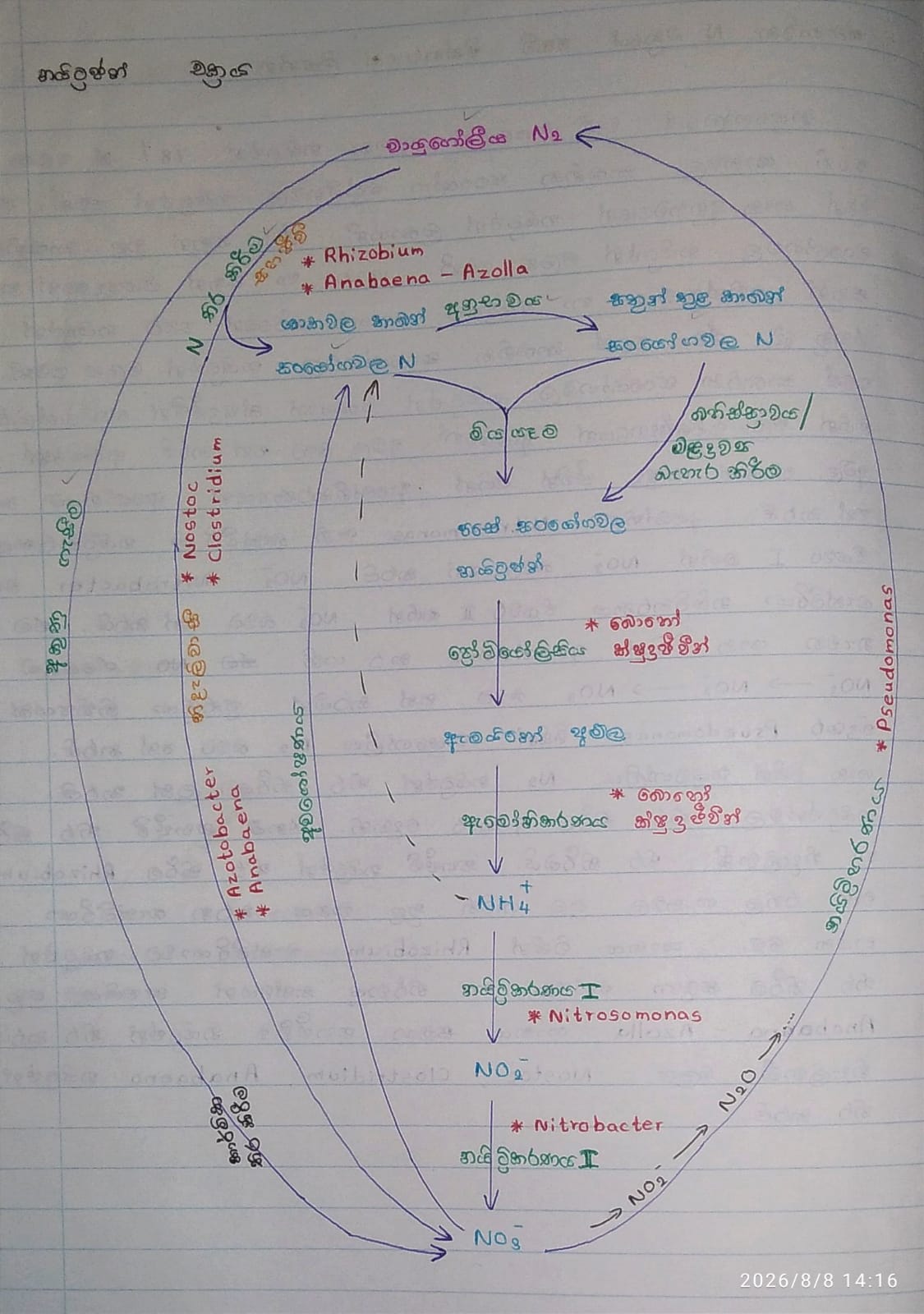 කාබන් චක්‍රය හා නයිට්‍රජන් චක්‍රය | SHORT NOTE