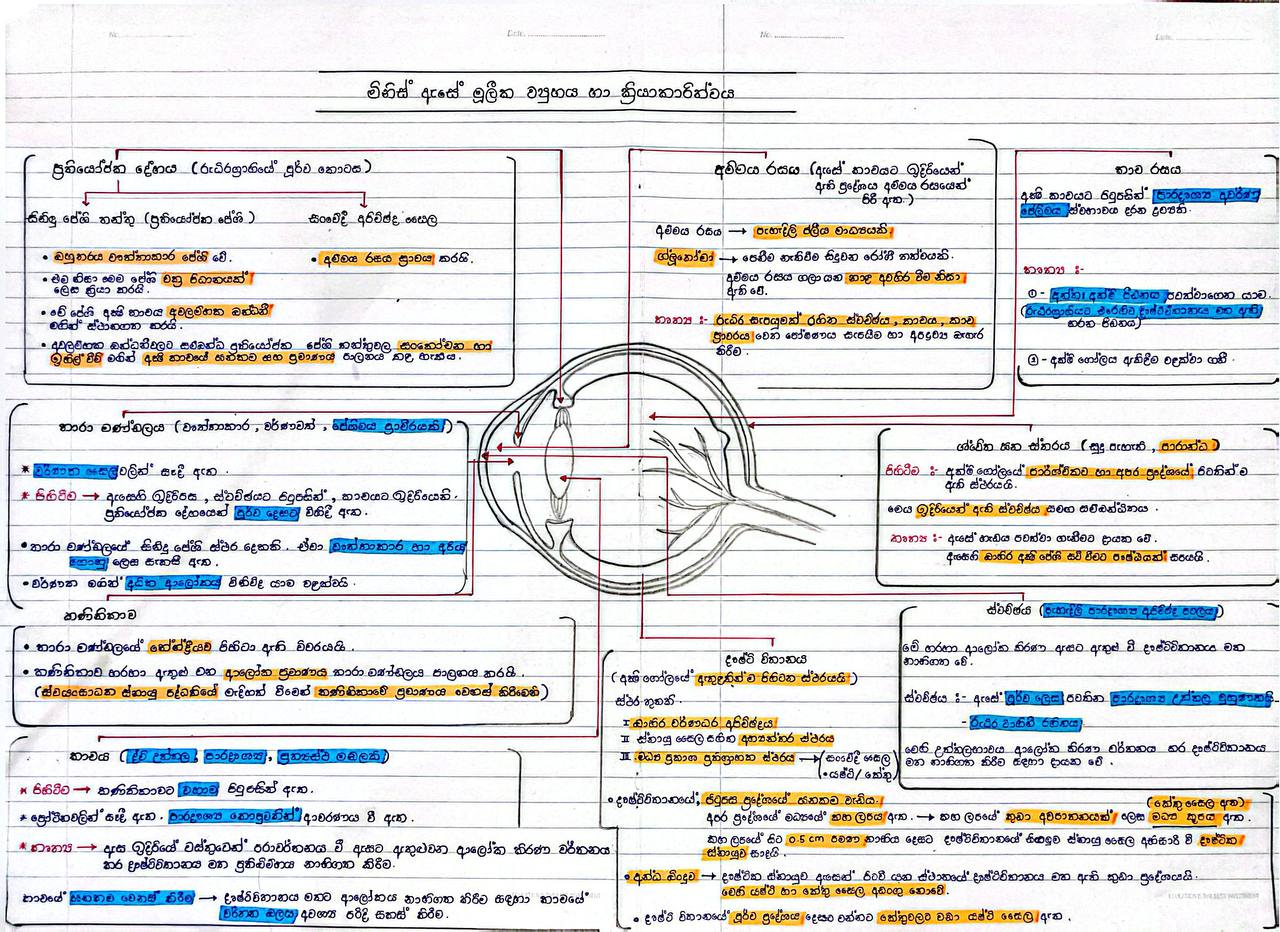 මිනිස් ඇසේ ව්‍යූහය | SHORT NOTE