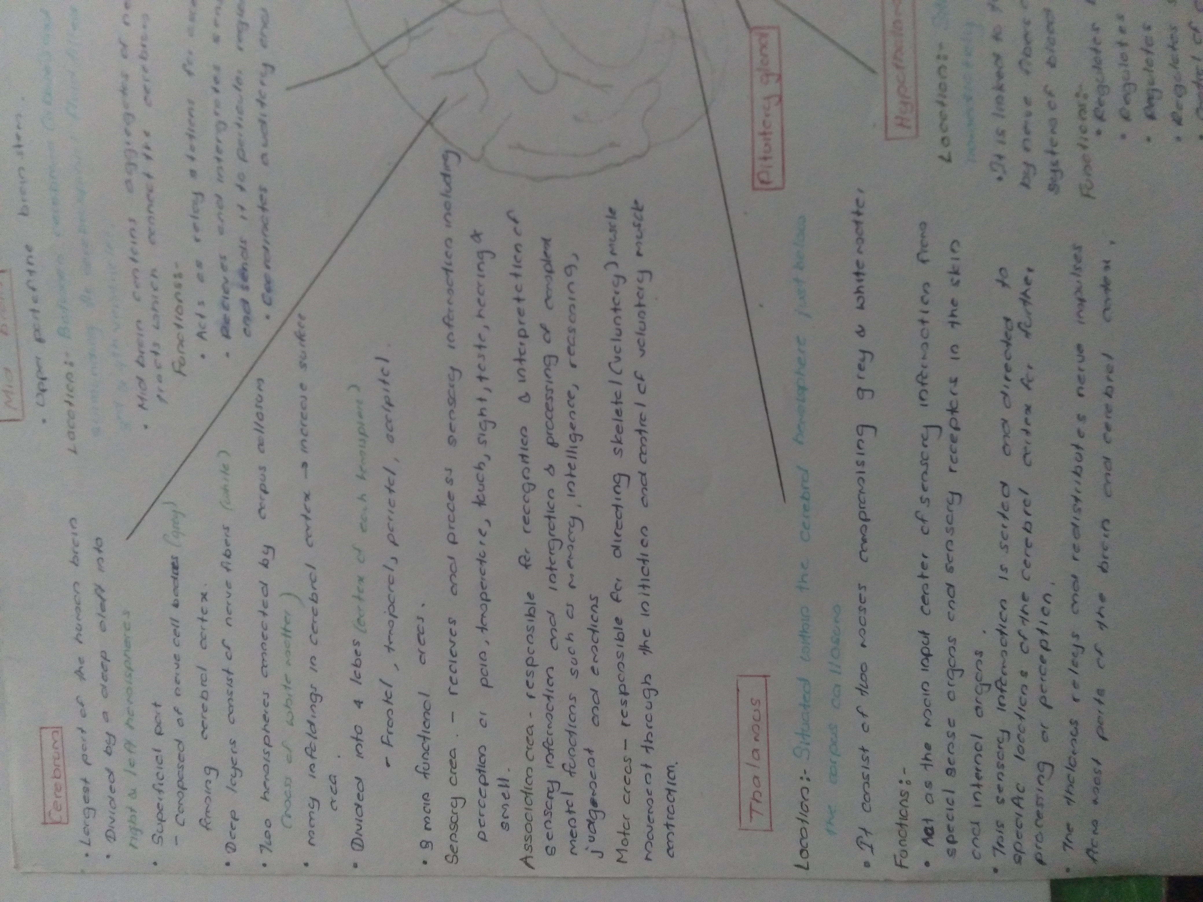 Parts of Brain and Functions | FULL SHORT NOTE