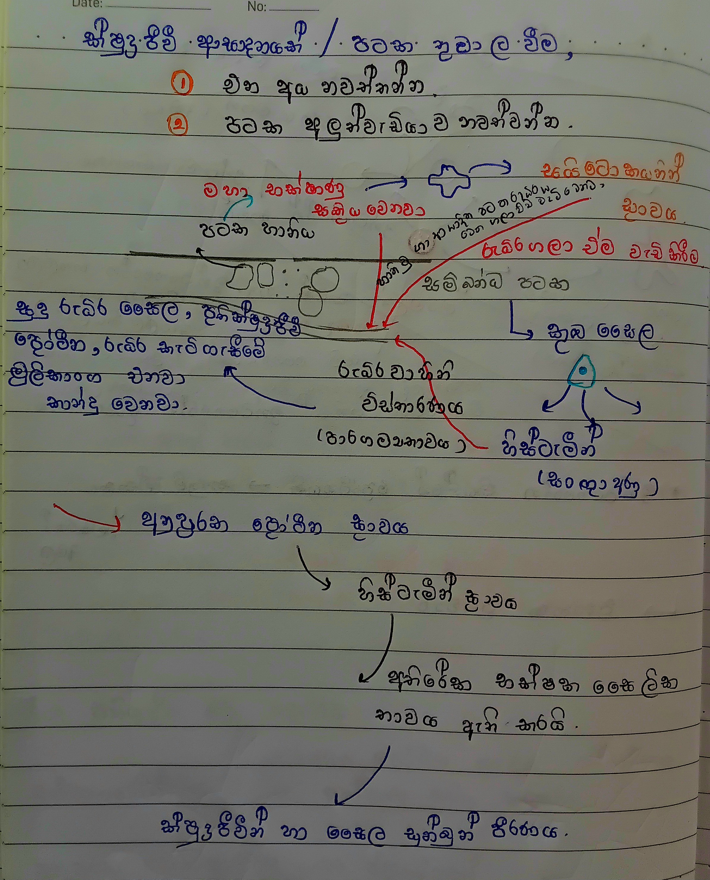 සහජ ප්‍රතිශක්තිය | SHORT NOTE