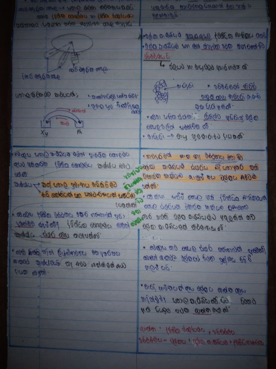 ශාකවල ද්විතීයික වර්ධනය | SHORT NOTE
