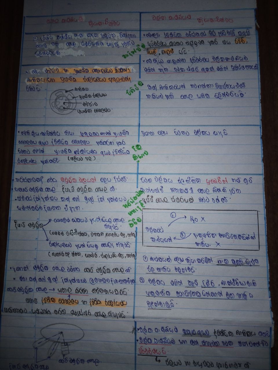 ශාකවල ද්විතීයික වර්ධනය | SHORT NOTE