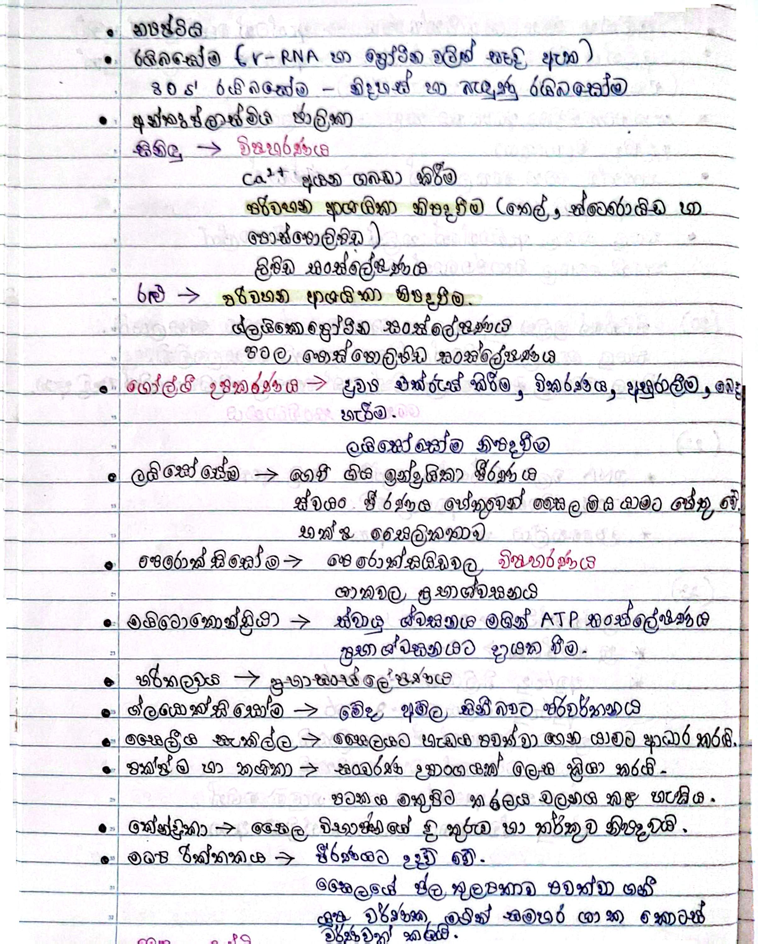 Subcellular components | SHORT NOTE