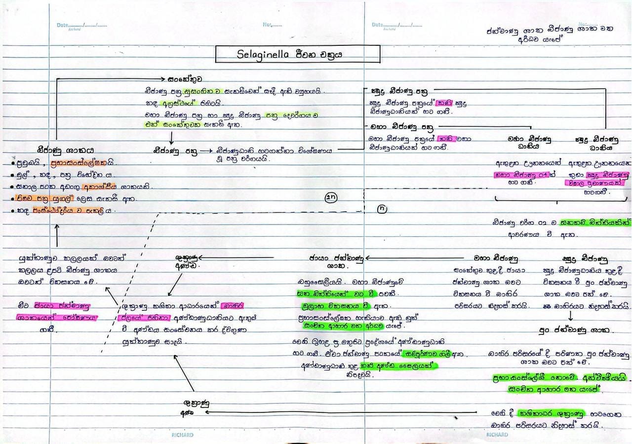 ශාක ජීවන චක්‍ර | FULL SHORT NOTE
