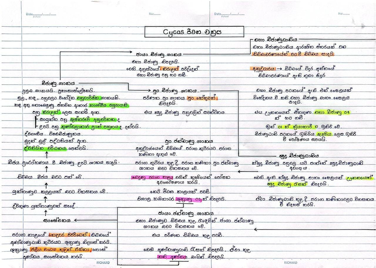 ශාක ජීවන චක්‍ර | FULL SHORT NOTE
