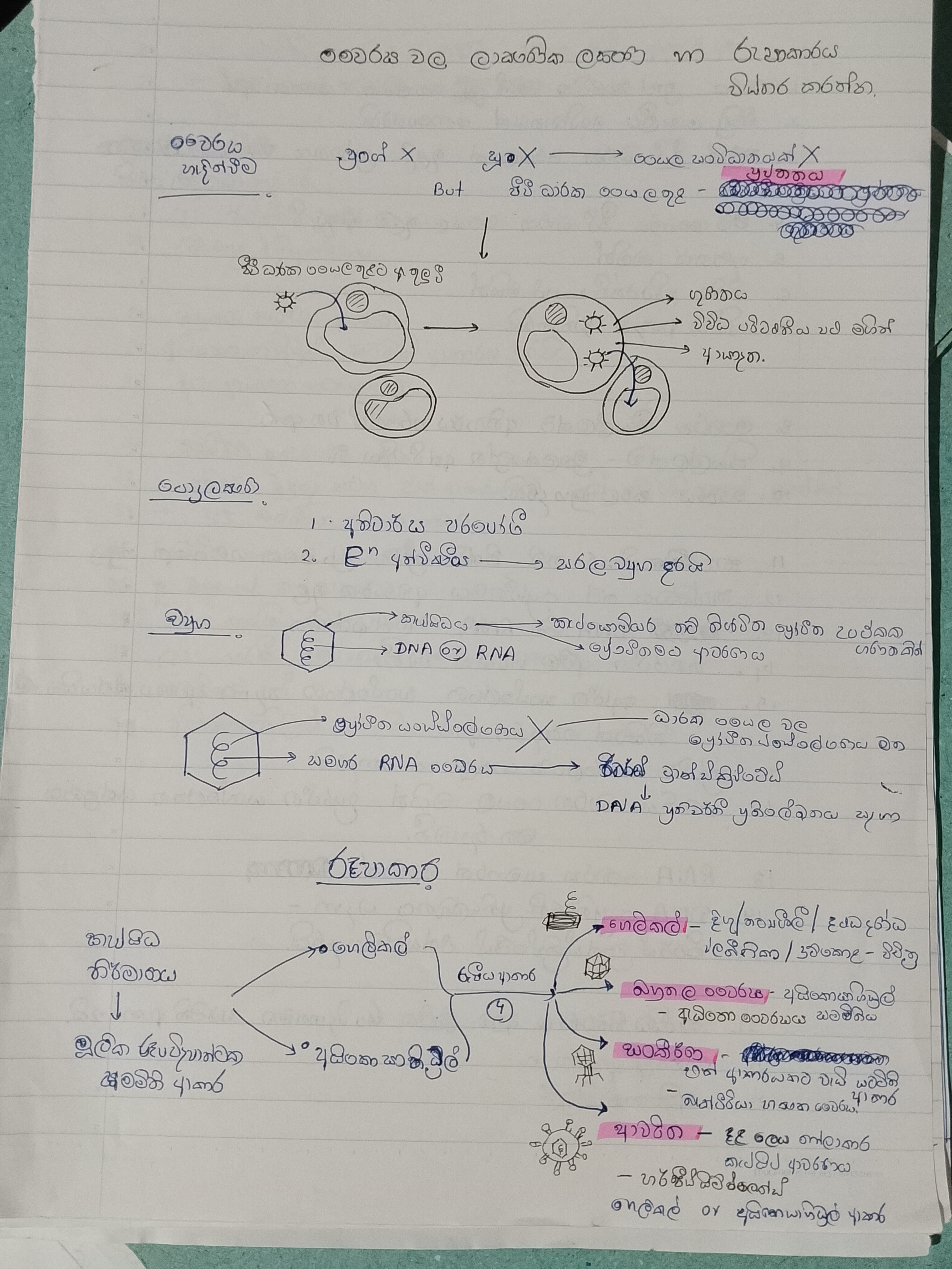 වෛරස වල ලාක්ෂණික | SHORT NOTE