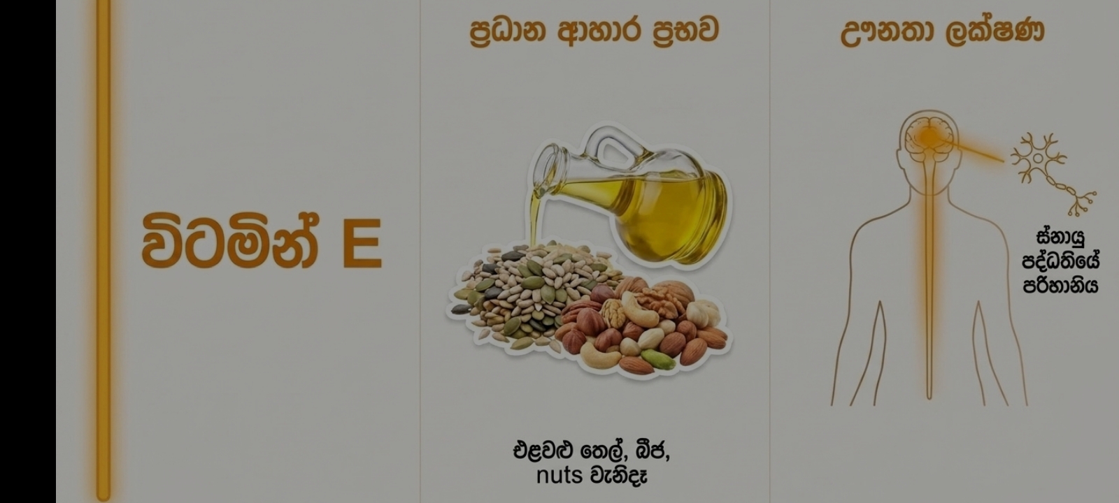 විටමින්, ආහාර ප්‍රභව හා ඌනතා ලක්ෂණ | SHORT NOTE