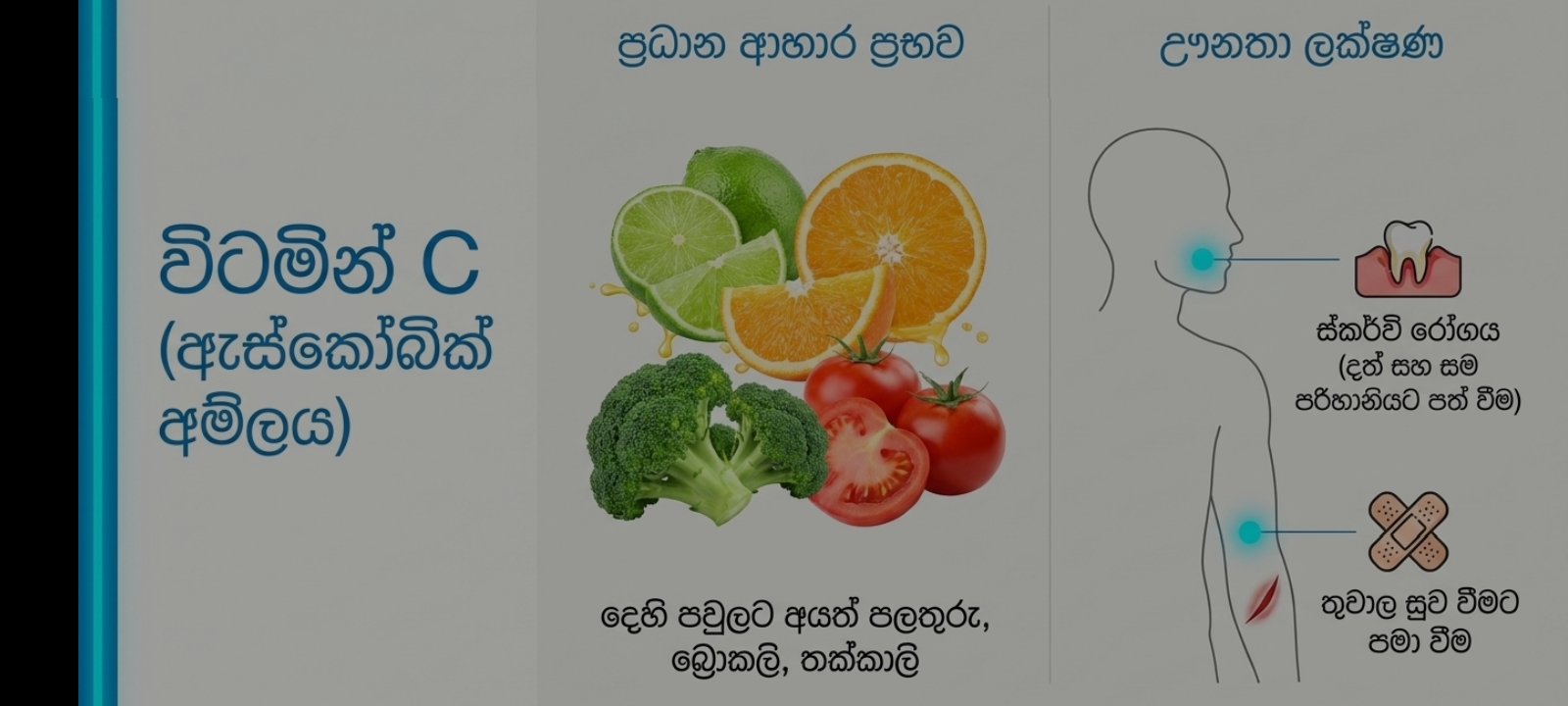 විටමින්, ආහාර ප්‍රභව හා ඌනතා ලක්ෂණ | SHORT NOTE