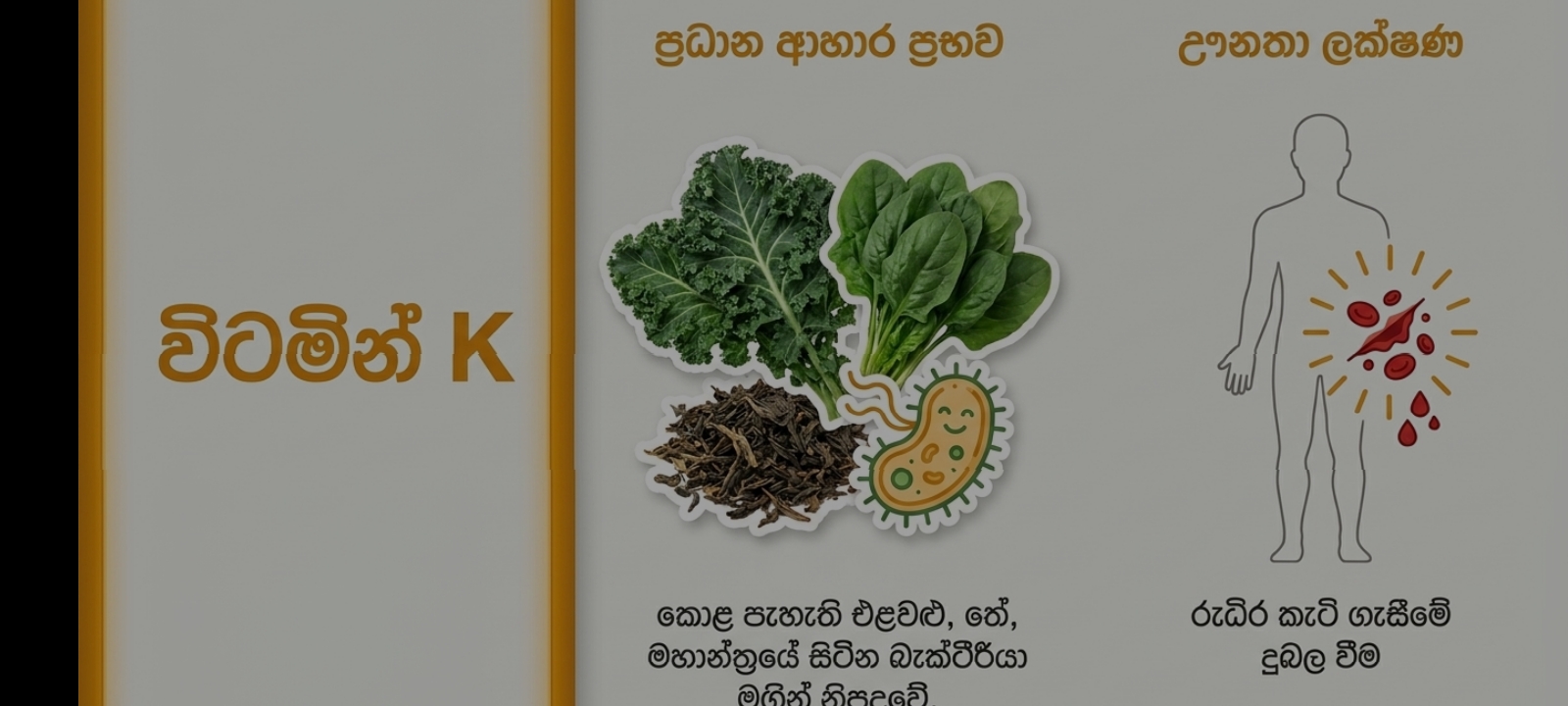 විටමින්, ආහාර ප්‍රභව හා ඌනතා ලක්ෂණ | SHORT NOTE