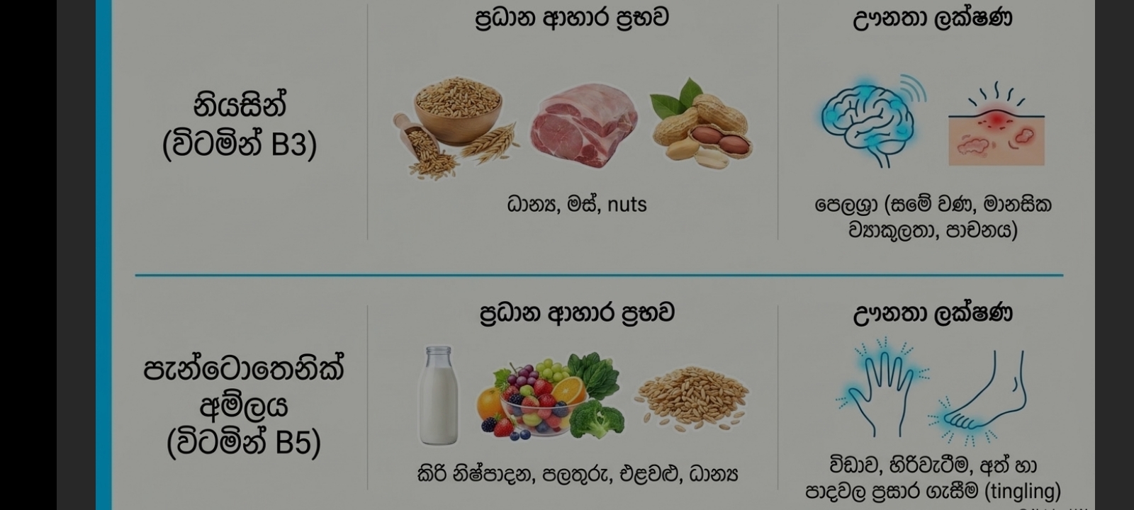 විටමින්, ආහාර ප්‍රභව හා ඌනතා ලක්ෂණ | SHORT NOTE